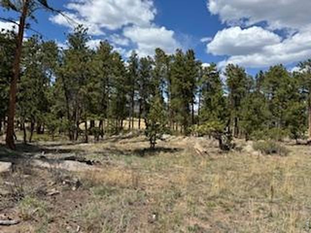2215 Fox Acres Dr E, Red Feather Lakes, CO 80545