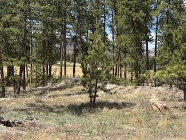 2215 Fox Acres Dr E, Red Feather Lakes, CO 80545
