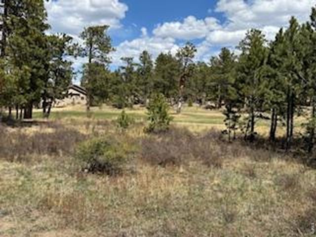 2215 Fox Acres Dr E, Red Feather Lakes, CO 80545