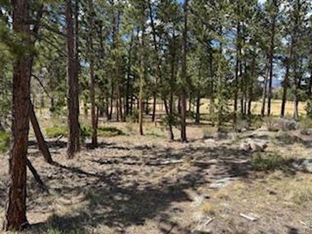 2215 Fox Acres Dr E, Red Feather Lakes, CO 80545