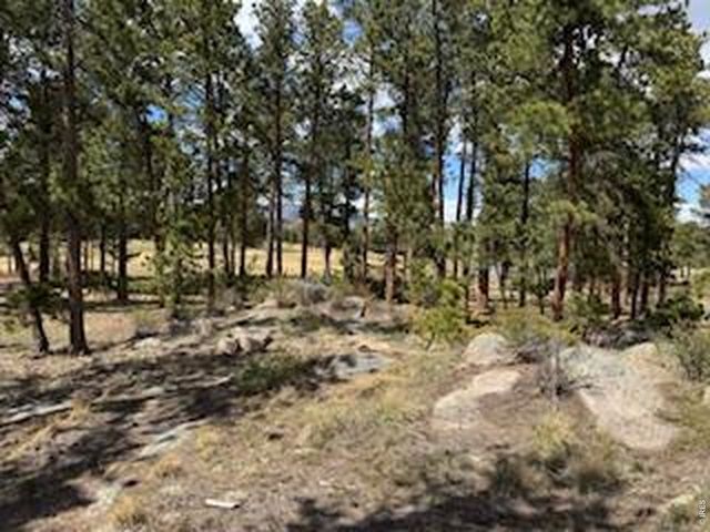 2215 Fox Acres Dr E, Red Feather Lakes, CO 80545