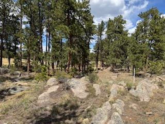 2215 Fox Acres Dr E, Red Feather Lakes, CO 80545