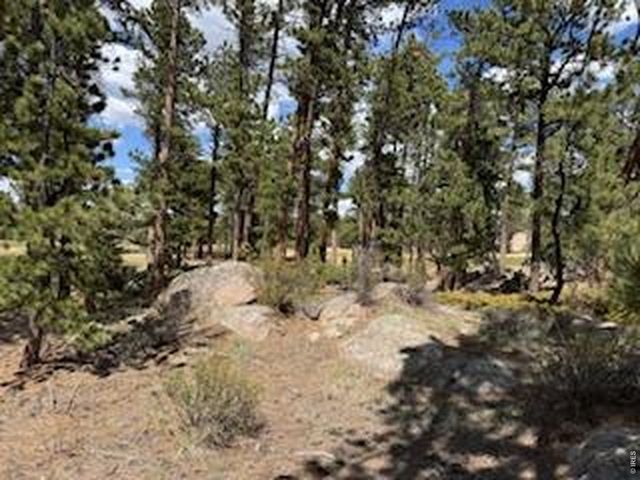 2215 Fox Acres Dr E, Red Feather Lakes, CO 80545