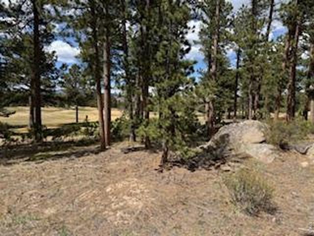 2215 Fox Acres Dr E, Red Feather Lakes, CO 80545