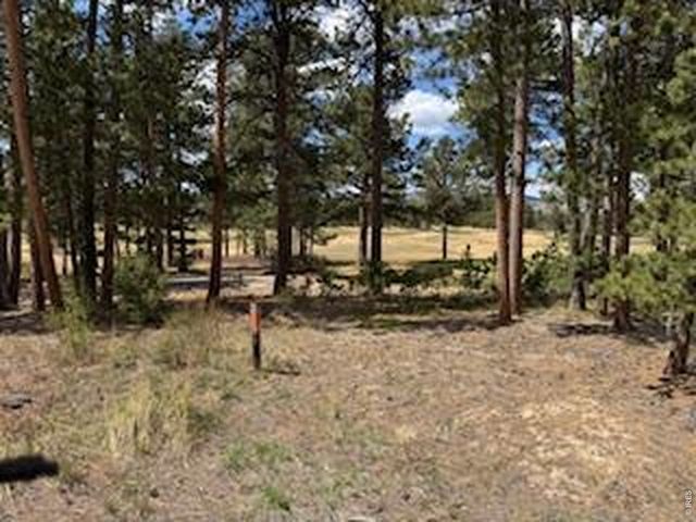 2215 Fox Acres Dr E, Red Feather Lakes, CO 80545