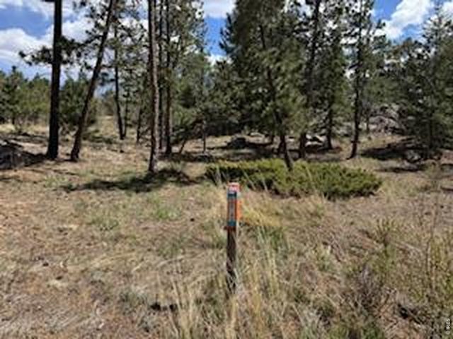 2215 Fox Acres Dr E, Red Feather Lakes, CO 80545