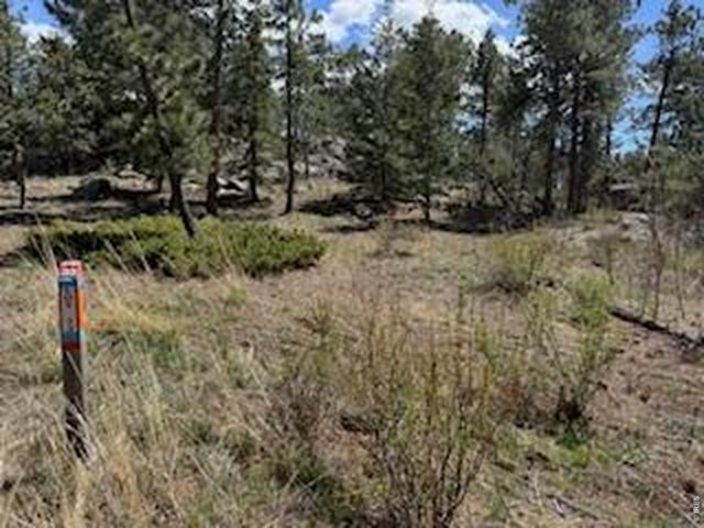2215 Fox Acres Dr E, Red Feather Lakes, CO 80545