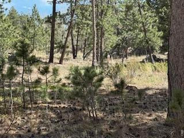 2215 Fox Acres Dr E, Red Feather Lakes, CO 80545