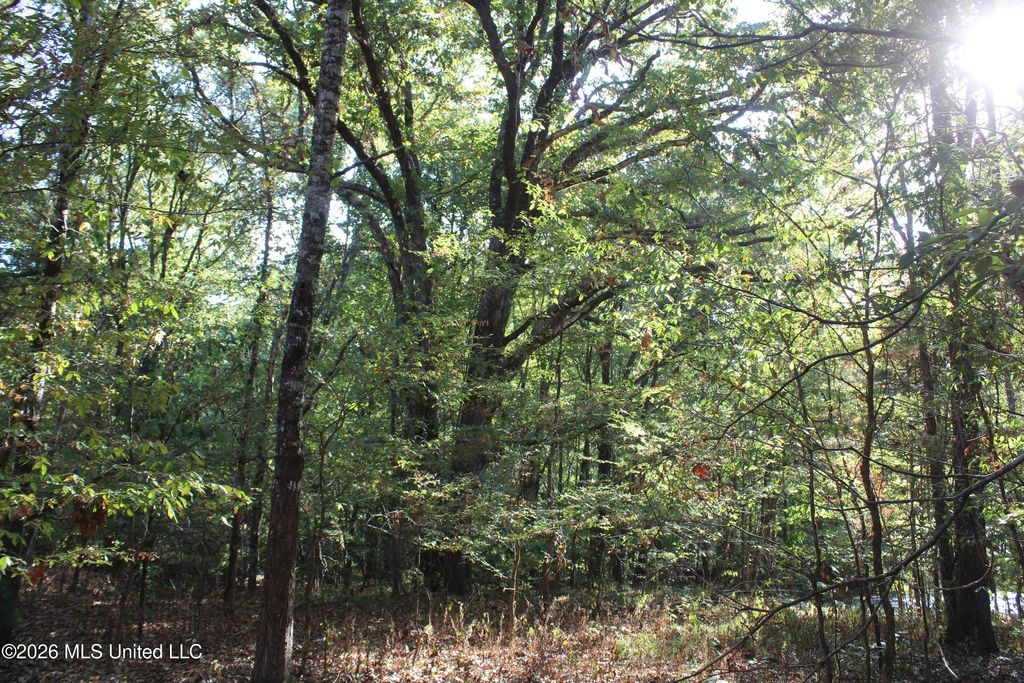 10 Star Landing Road, Nesbit, MS 38651 — photo 2