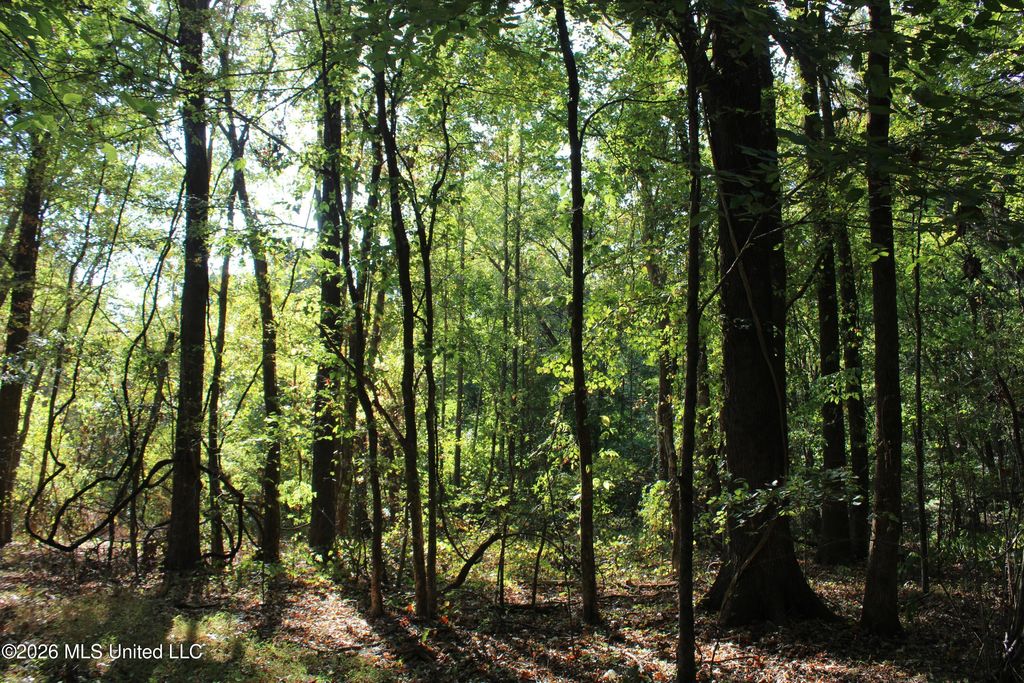 10 Star Landing Road, Nesbit, MS 38651 — photo 5