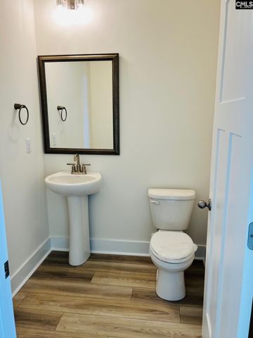 11 Fandango Court, Blythewood, SC 29016