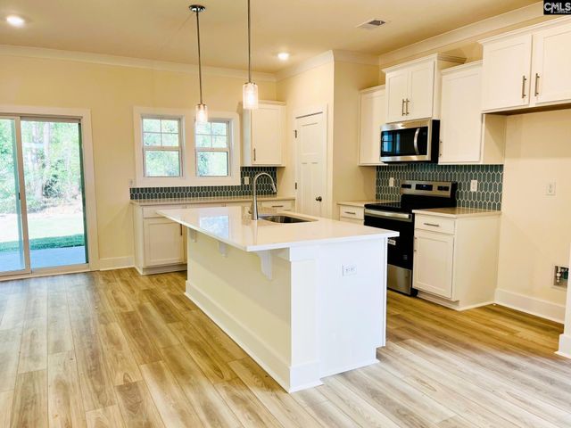 11 Fandango Court, Blythewood, SC 29016