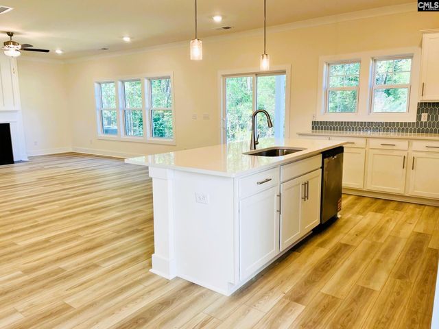 11 Fandango Court, Blythewood, SC 29016