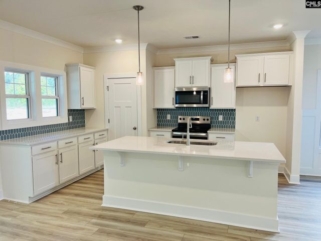 11 Fandango Court, Blythewood, SC 29016