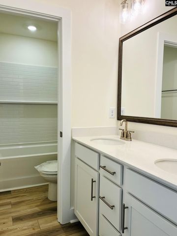 11 Fandango Court, Blythewood, SC 29016