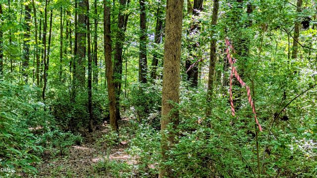 Lot 1 Blueberry Lane, Chapel Hill, NC 27516