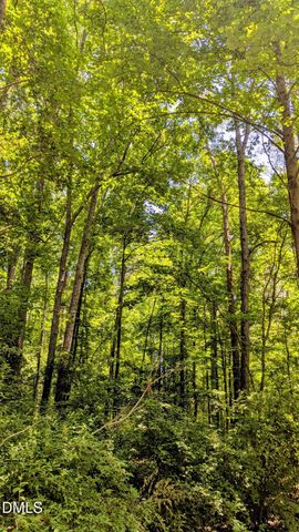 Lot 1 Blueberry Lane, Chapel Hill, NC 27516
