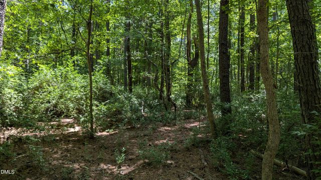 Lot 1 Blueberry Lane, Chapel Hill, NC 27516