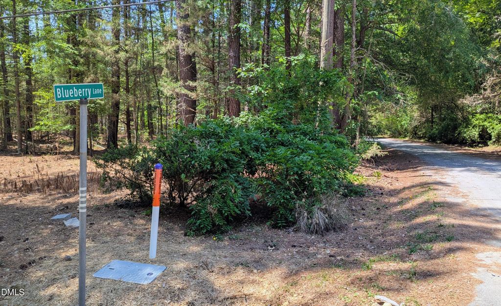Lot 1 Blueberry Lane, Chapel Hill, NC 27516
