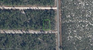 3103 Frances Avenue, Lake Placid, FL 33852