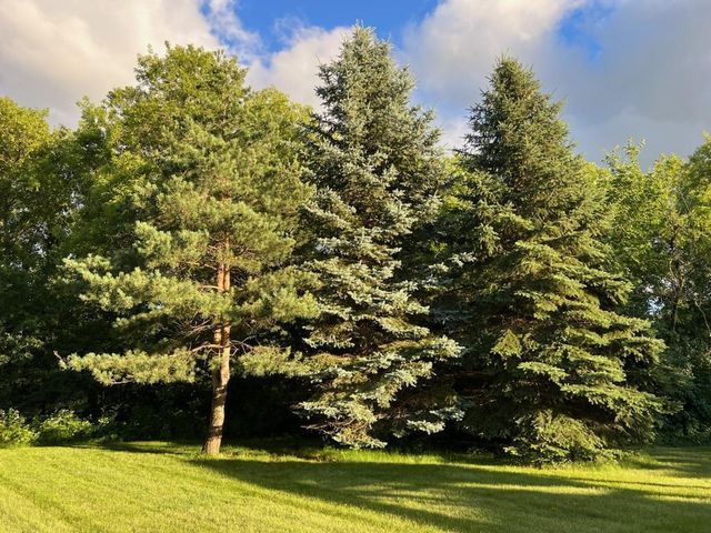 925 Sadie's Lane, Hudson, WI 54016