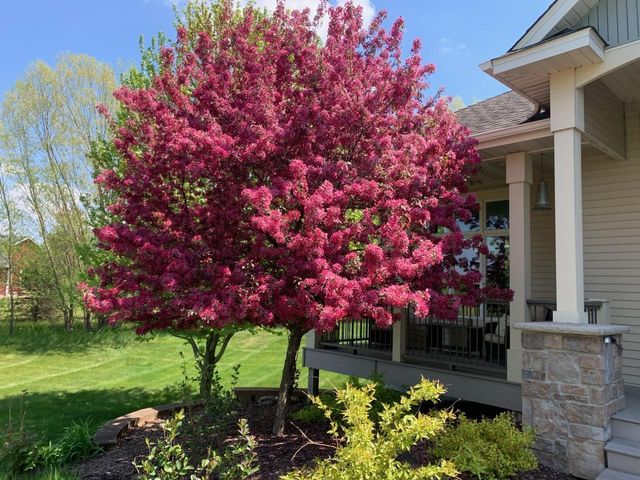 925 Sadie's Lane, Hudson, WI 54016