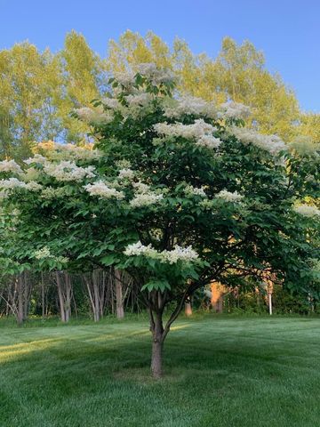 925 Sadie's Lane, Hudson, WI 54016