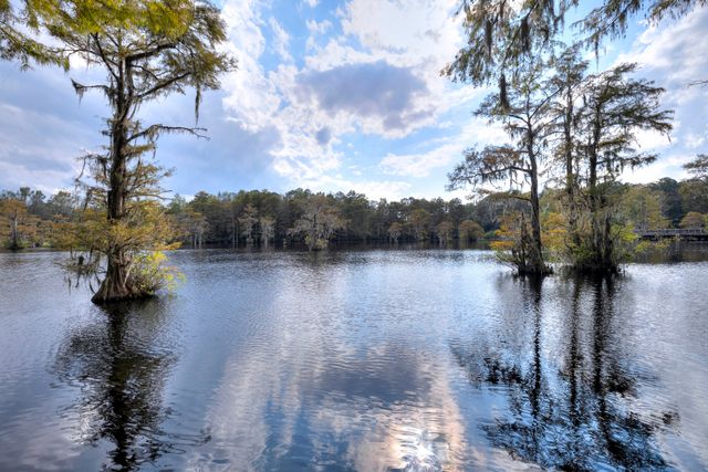 2350 Whites Mill Road, Sumter, SC 29153