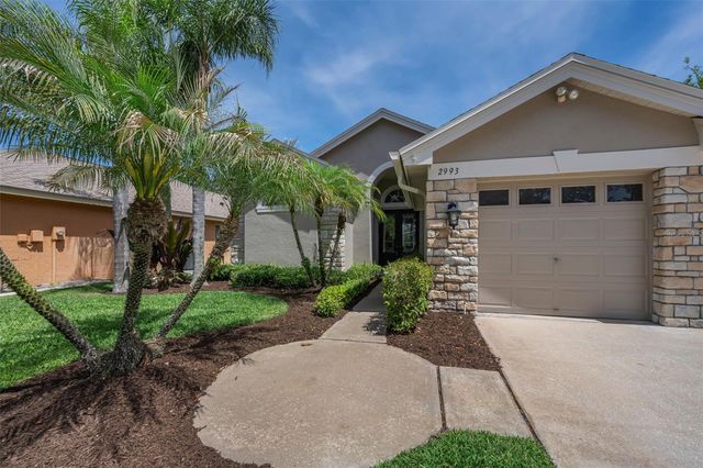 2993 NORTHFIELD DRIVE, Tarpon Springs, FL 34688