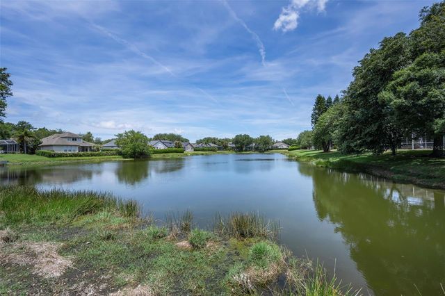 2993 NORTHFIELD DRIVE, Tarpon Springs, FL 34688