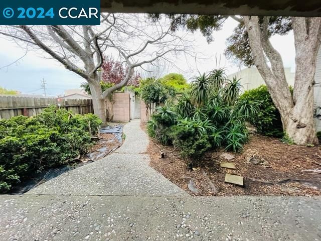 928 San Pablo Ave, Albany, CA 94706