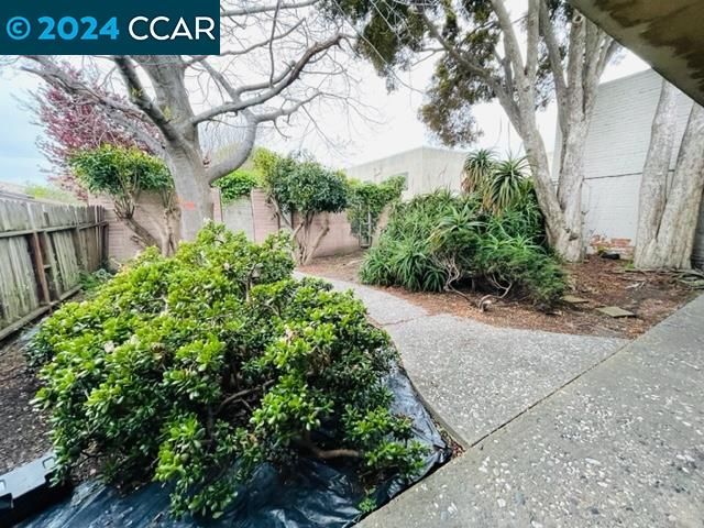928 San Pablo Ave, Albany, CA 94706