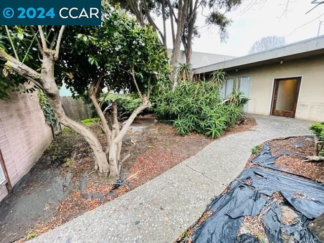 928 San Pablo Ave, Albany, CA 94706