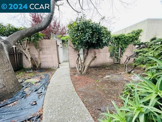 928 San Pablo Ave, Albany, CA 94706