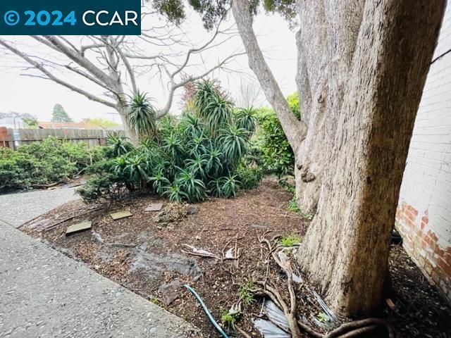 928 San Pablo Ave, Albany, CA 94706