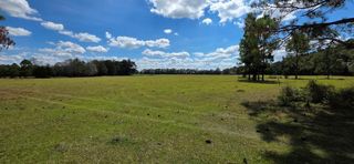 5.8 Acres Nobles Rd Lot 2, Cottonwood, AL 36320