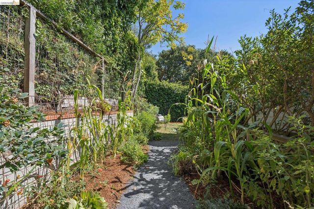 150 Scenic Ave, Piedmont, CA 94611