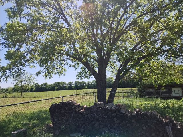 4440 Dripping Springs Road, Sherman, TX 75090