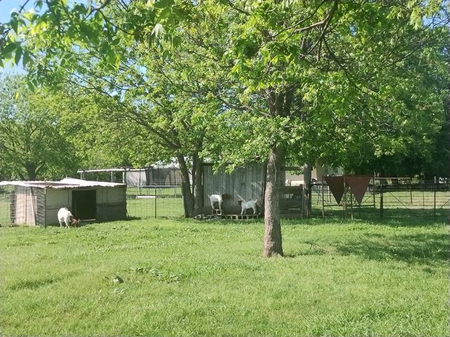 4440 Dripping Springs Road, Sherman, TX 75090