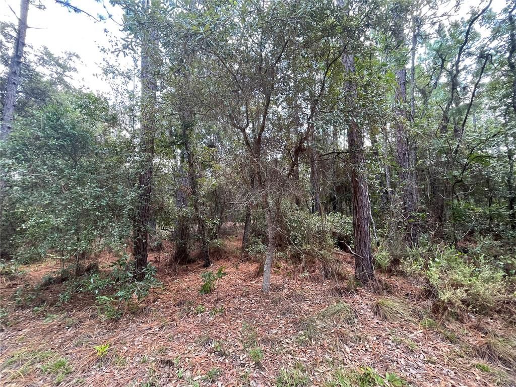 SLEEPY POINT, Melrose, FL 32666