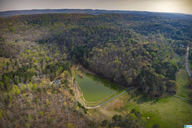 32728 US HIGHWAY 411, Ashville, AL 35953