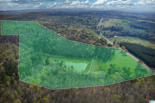 32728 US HIGHWAY 411, Ashville, AL 35953