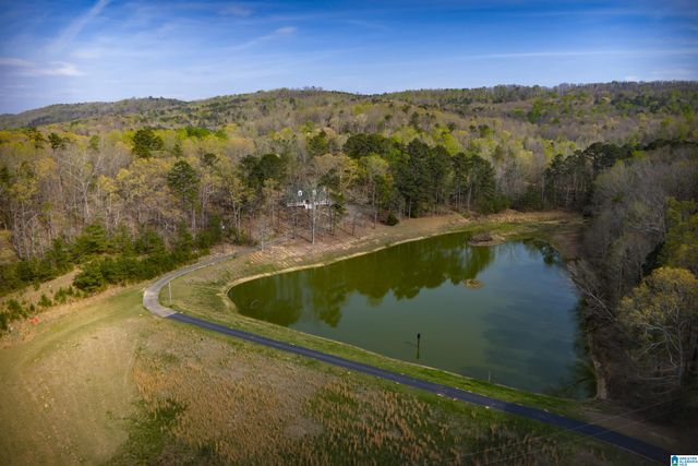 32728 US HIGHWAY 411, Ashville, AL 35953