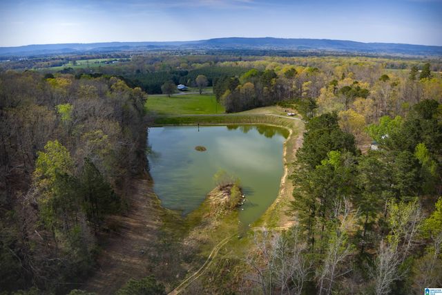 32728 US HIGHWAY 411, Ashville, AL 35953