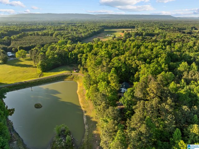 32728 US HIGHWAY 411, Ashville, AL 35953