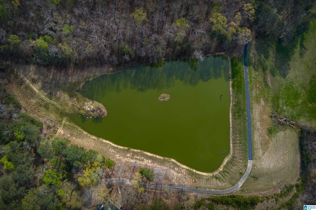 32728 US HIGHWAY 411, Ashville, AL 35953