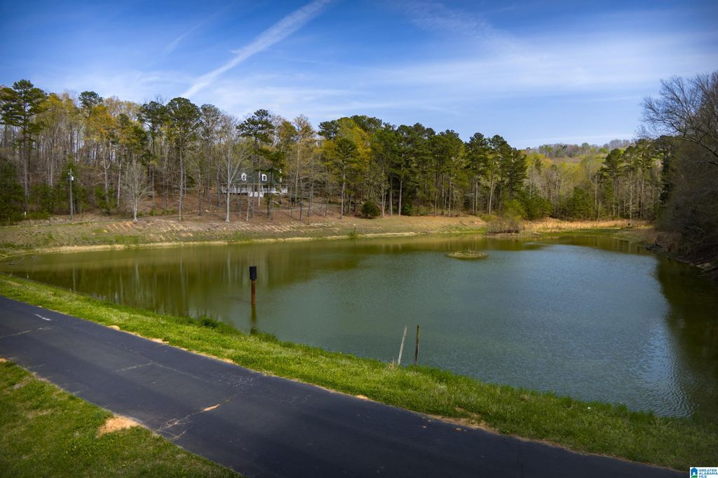 32728 US HIGHWAY 411, Ashville, AL 35953