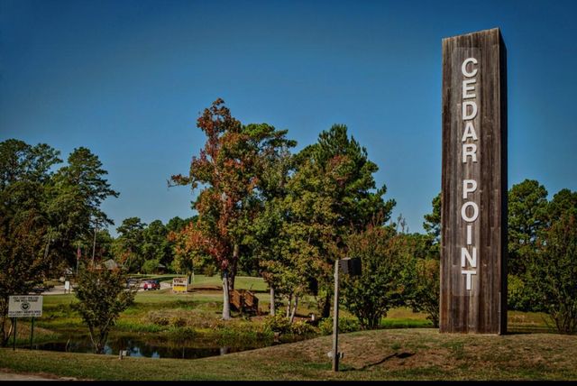 145 Pine Grove Drive, Livingston, TX 77351