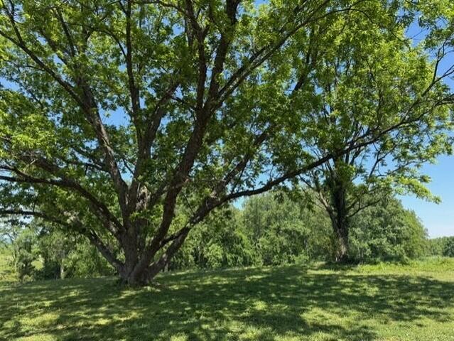 3824 Hickory Nut Road, Nancy, KY 42544