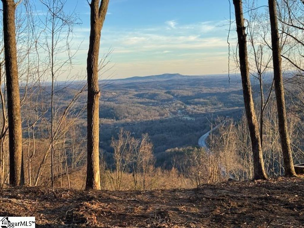 1531 Panther Park Trail, Travelers Rest, SC 29690